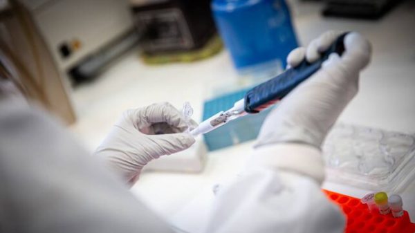 Una empresa de San Sebastián producirá la vacuna contra la COVID-19 de la Universidad de Harvard