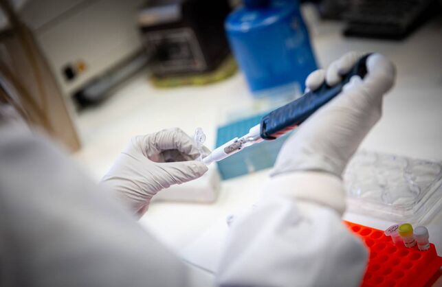 Una empresa de San Sebastián producirá la vacuna contra la COVID-19 de la Universidad de Harvard