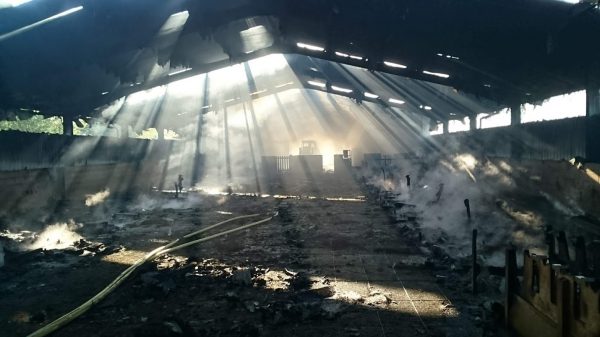 Mueren 120 corderos en un incendio en Errezil