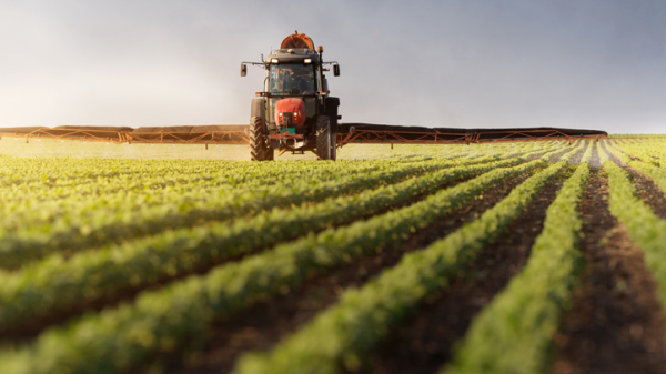 La Diputación de Bizkaia financiará con 85.000 euros la actividad de las asociaciones de personas productoras del sector agrícola