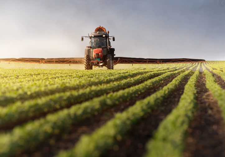 La Diputación de Bizkaia financiará con 85.000 euros la actividad de las asociaciones de personas productoras del sector agrícola