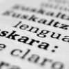 La Diputación Foral de Bizkaia impulsa con 900.000 euros las publicaciones en euskera